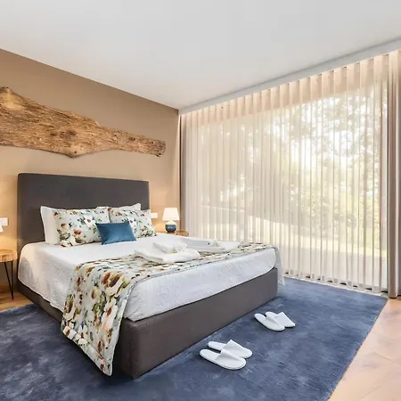 Σαλέ Casas De Bouro 3 Casa Do Alecrim