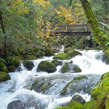 샬레 Casas De Bouro 3 Casa Do Alecrim 테라스 드 부로