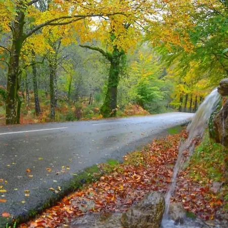 샬레 Casas De Bouro 3 Casa Do Alecrim *