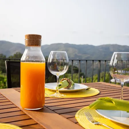 Casas De Bouro 3 Casa Do Alecrim * 테라스 드 부로