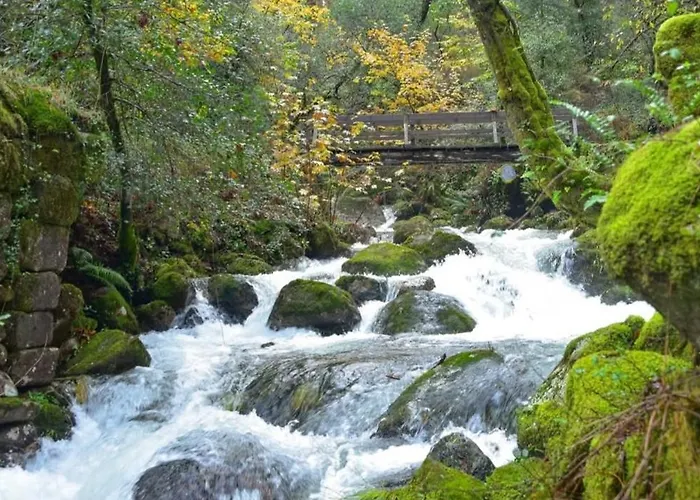 Chalet Casas De Bouro 3 Casa Do Alecrim Terras de Bouro