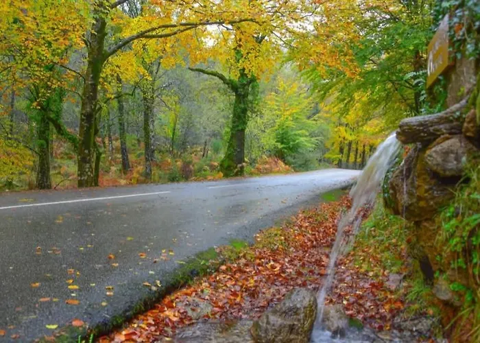 Chalé Casas De Bouro 3 Casa Do Alecrim *